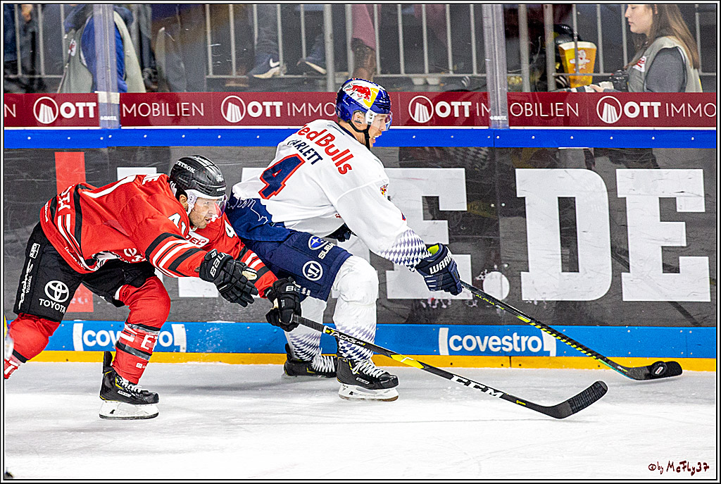 DEL;  Koelner Haie - EHC Red Bull Muenchen; Koeln, 02.02.2020